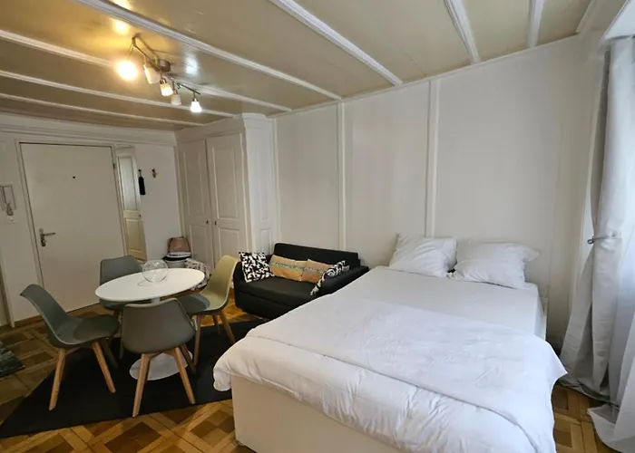 City Center Apt With Ac In Zurich Old Town