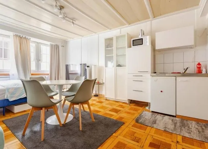 City Center Apt With Ac In Zurich Old Town
